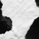 memoriasdeluli avatar