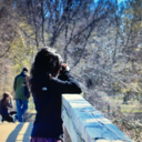 memories-forgottenn avatar