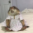 memoriesfornobody avatar