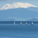 memyselfandthesea-blog-blog avatar