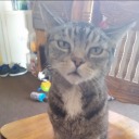 men----music----life avatar