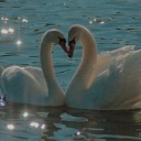 men-loving-enbies avatar