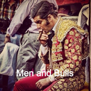 menandbulls avatar