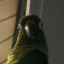 mendelsmoments avatar