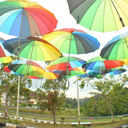 mengharappelangi avatar