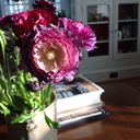 menin-aeide-thea avatar