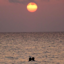 menina-mulher123 avatar