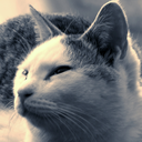 meniyasasihi avatar