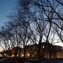 ment4l-breakdown avatar