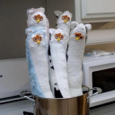 mentalbreakdowngobrrrrr avatar