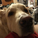 mentalcomplaint avatar