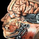 mentalengineer avatar