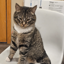 mentallyexhausted avatar