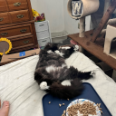 mentallyunwellsposts avatar