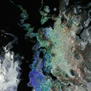 menteexplosivaus avatar