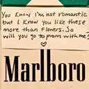 menthol-smoke-blog avatar