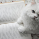 mentindo-para-a-dor avatar