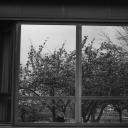 menuettmenuett avatar