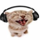 meow-mp3 avatar