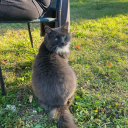 meow1meowmeow avatar