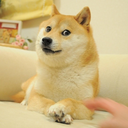 meowinahole avatar