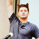 meowmixwinchester avatar