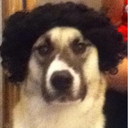 meowmothercluck avatar