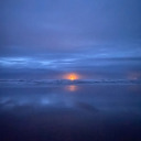 mephist0phallus avatar