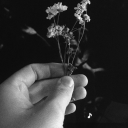 mequededormidazzz avatar