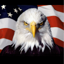 mercilessstrangerinvader avatar