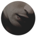 mercurialcrow avatar