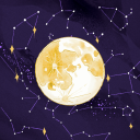 mercurialidiot avatar