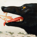 mercurialtongued avatar