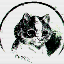 mercuryconfetti avatar