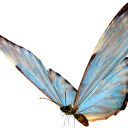 mercurymstress avatar