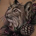 mercurynx-blog avatar