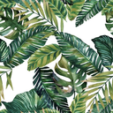 mercy-for-marat avatar