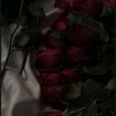 merelylillies avatar