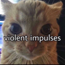 meretriciousaf avatar