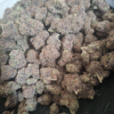 merkgohardsblog avatar