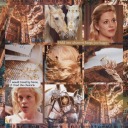 merlin-rabbit-hole avatar