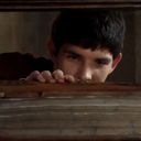 merlingenrecs avatar