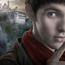 merlins-hobbit avatar