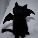 merlinsblackbatcat avatar