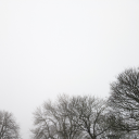 mermaid-vvitch avatar