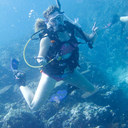 mermaid-within avatar