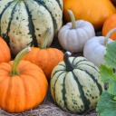 mermaiden-revelry avatar