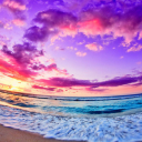 mermaids-and-seashell avatar