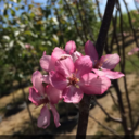 mermaidwithasecret-blog avatar