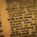 merriam-whumpster avatar